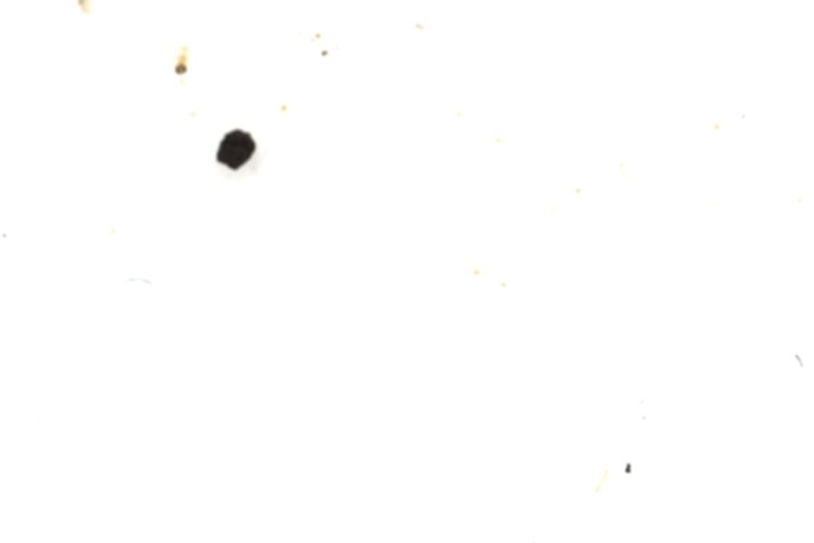 Image 74